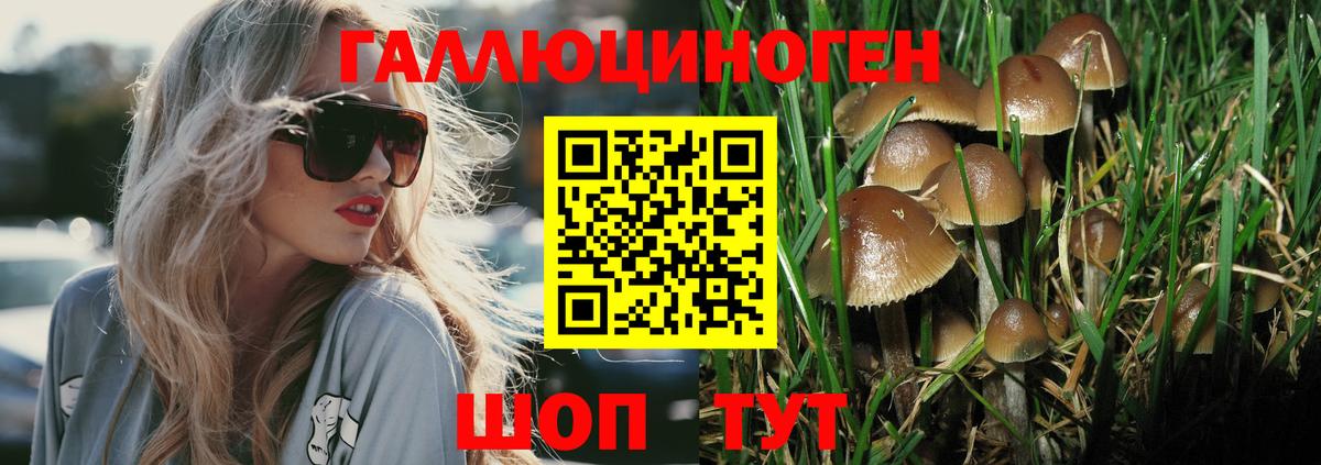 Псилоцибиновые грибы ЛСД  Вход с VPN  Россошь 